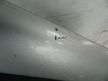 Дверь NISSAN PRIMERA P11 Перед Прав (Контрактный) 72355735