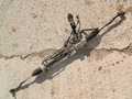 Рейка рулевая TOYOTA CAMRY ACV40 (Контрактный) 1102010145