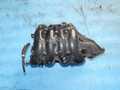 Коллектор впускной TOYOTA CAMRY ACV30 2AZFE (Контрактный) 32158632 1712028070