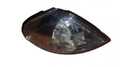 Габарит SAT ST2151592R Перед. Прав. NISSAN BLUBIERD SYLPHY 2000-2003 261304M600
