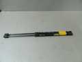 Амортизатор багажника NISSAN MARCH AK12 (Контрактный) 81532158
