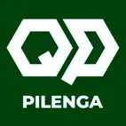 Bm катушка зажигания pilenga bmec5005