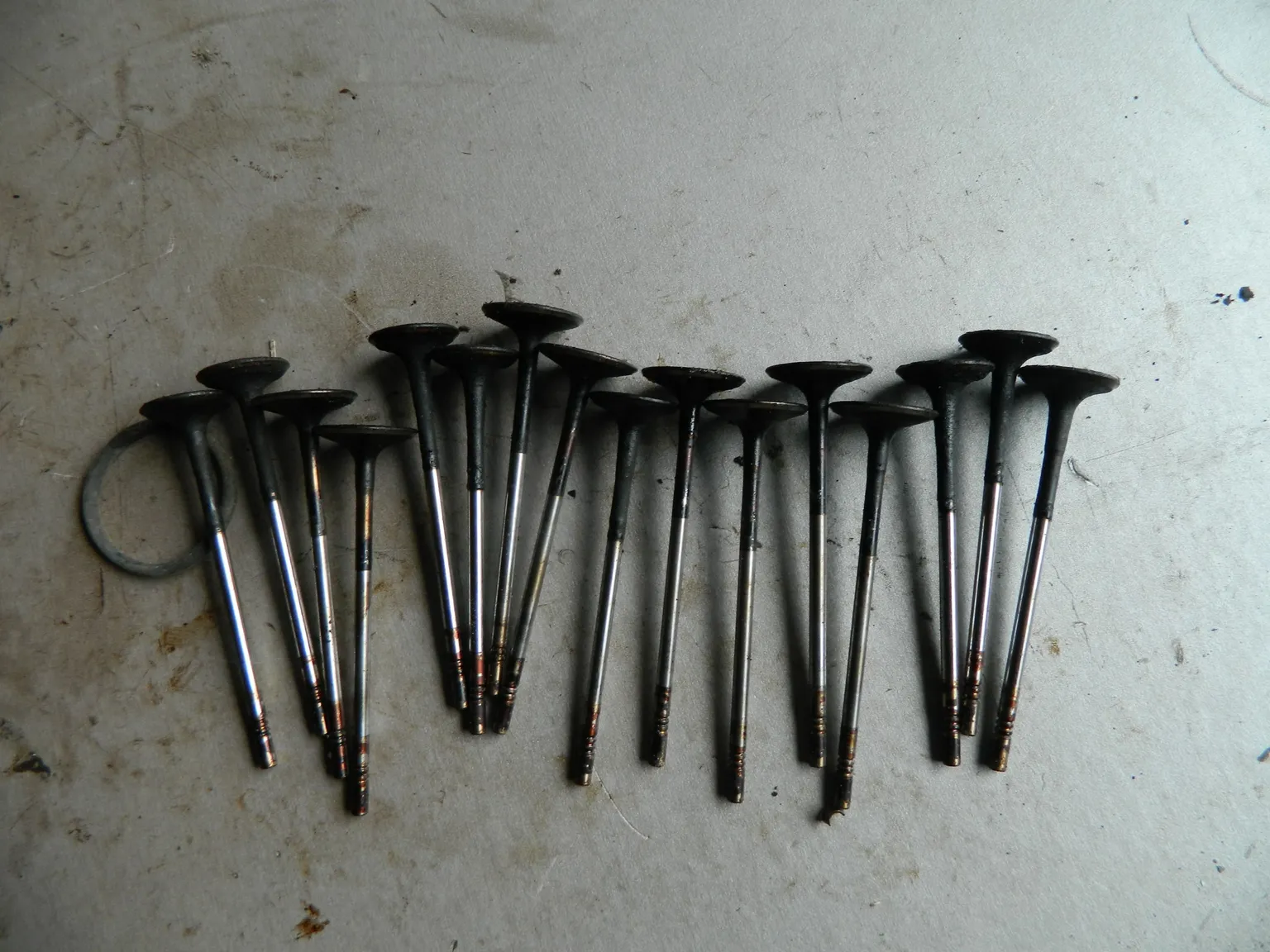 Клапан впускной OPEL ASTRA A16XER (Б/У) 55557862