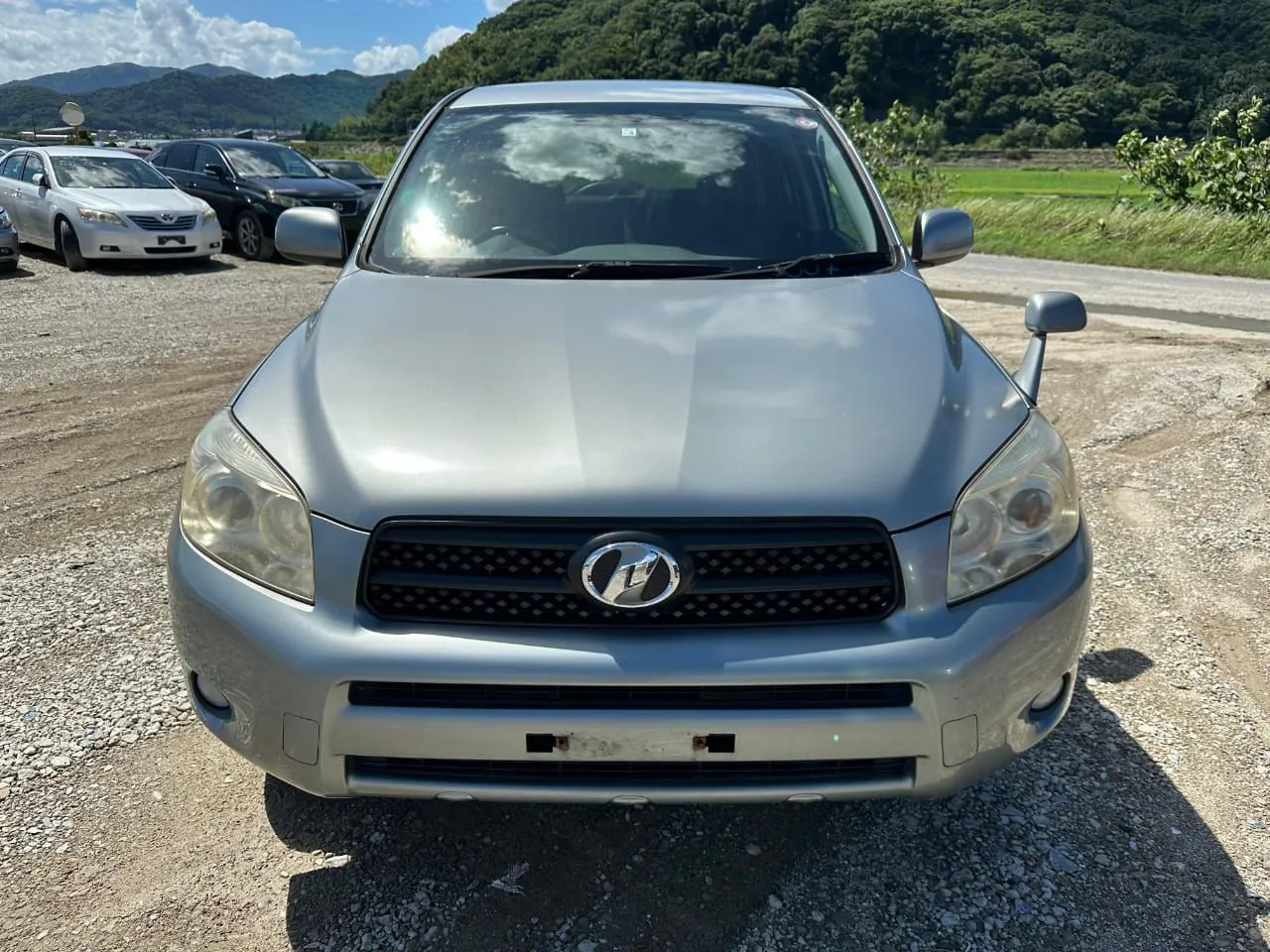 Капот TOYOTA RAV4 ACA31 (Контрактный) 29011008