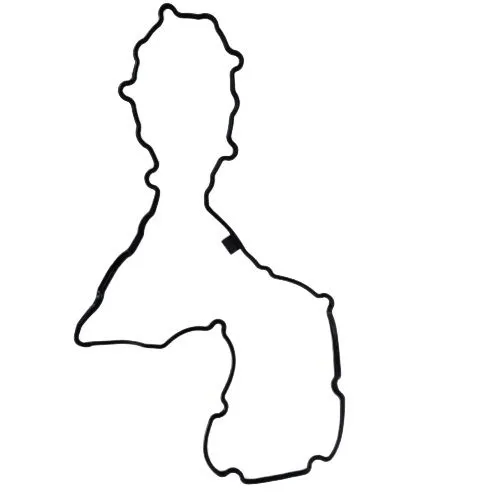 Прокладка TOYOTA 1121317010 TOYOTA Camry, Land Cruiser