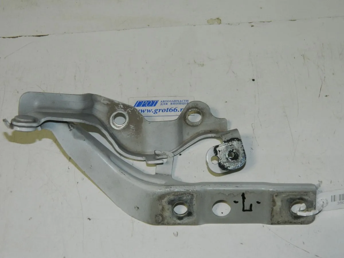 Петля капота HYUNDAI EQUUS G6DA 2013-2015 Лев (Б/У) 35017786