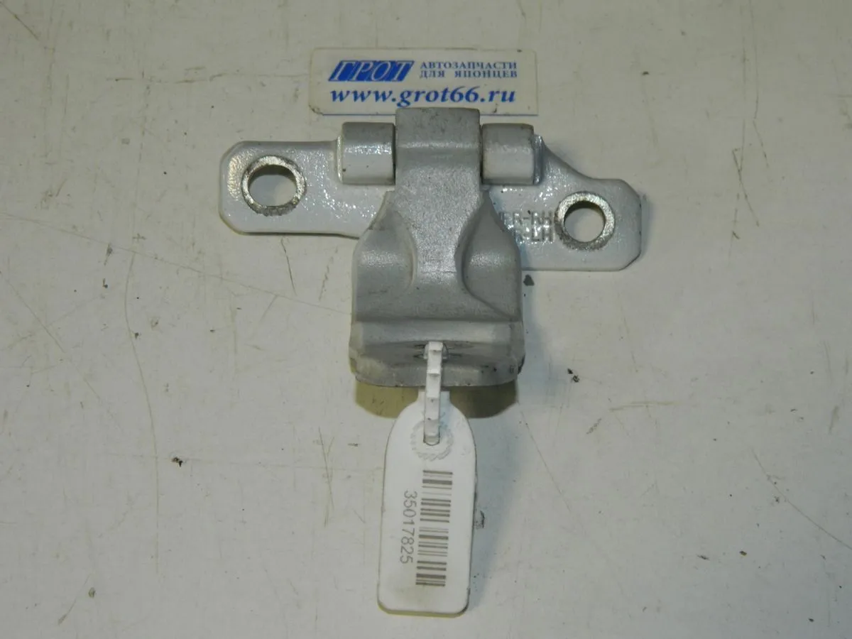 Петля двери HYUNDAI EQUUS G6DA 2013-2015 Перед Прав Низ (Б/У) 35017825