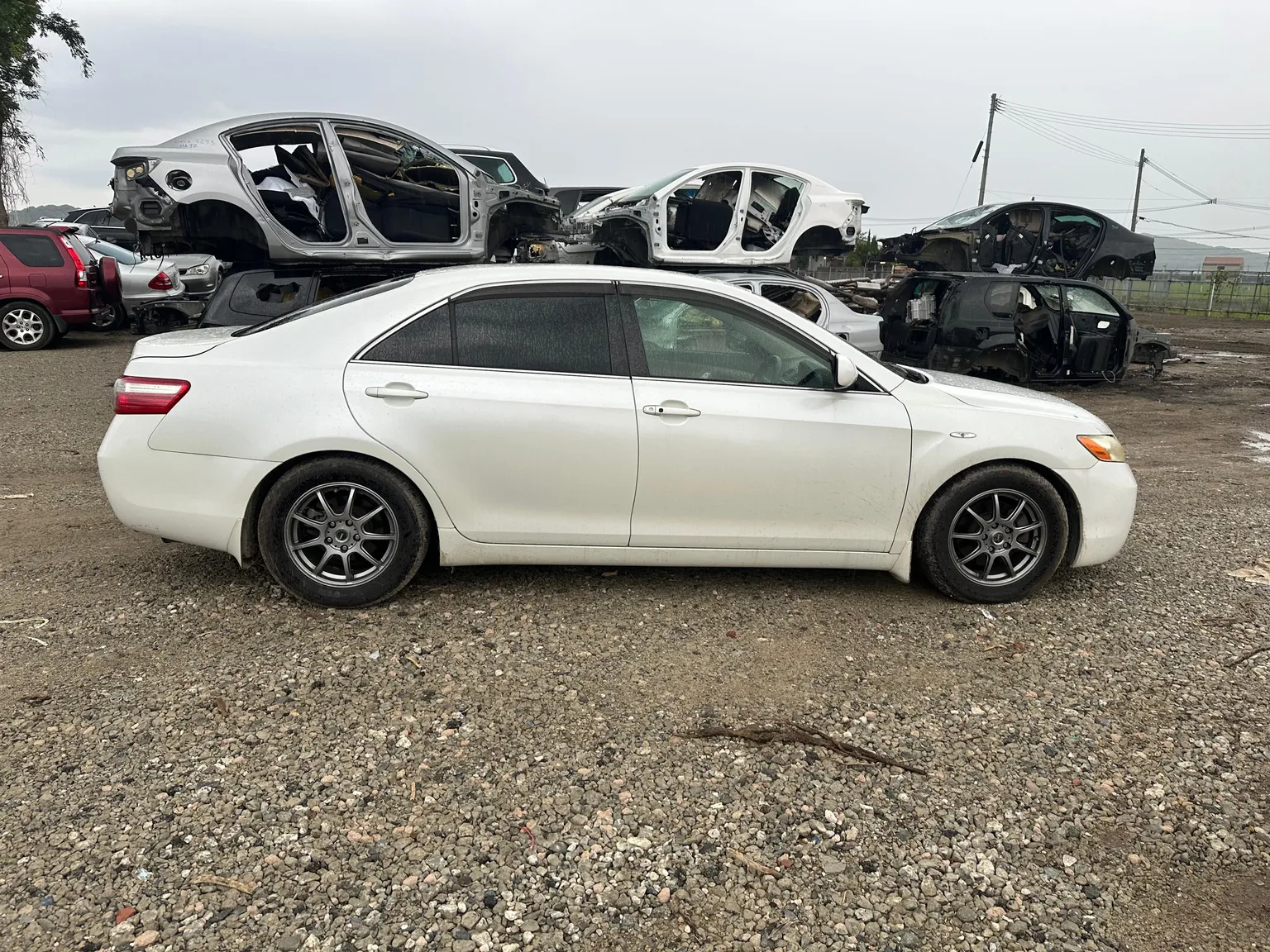 Дверь TOYOTA CAMRY ACV40 Перед Прав (Контрактный) 28925006