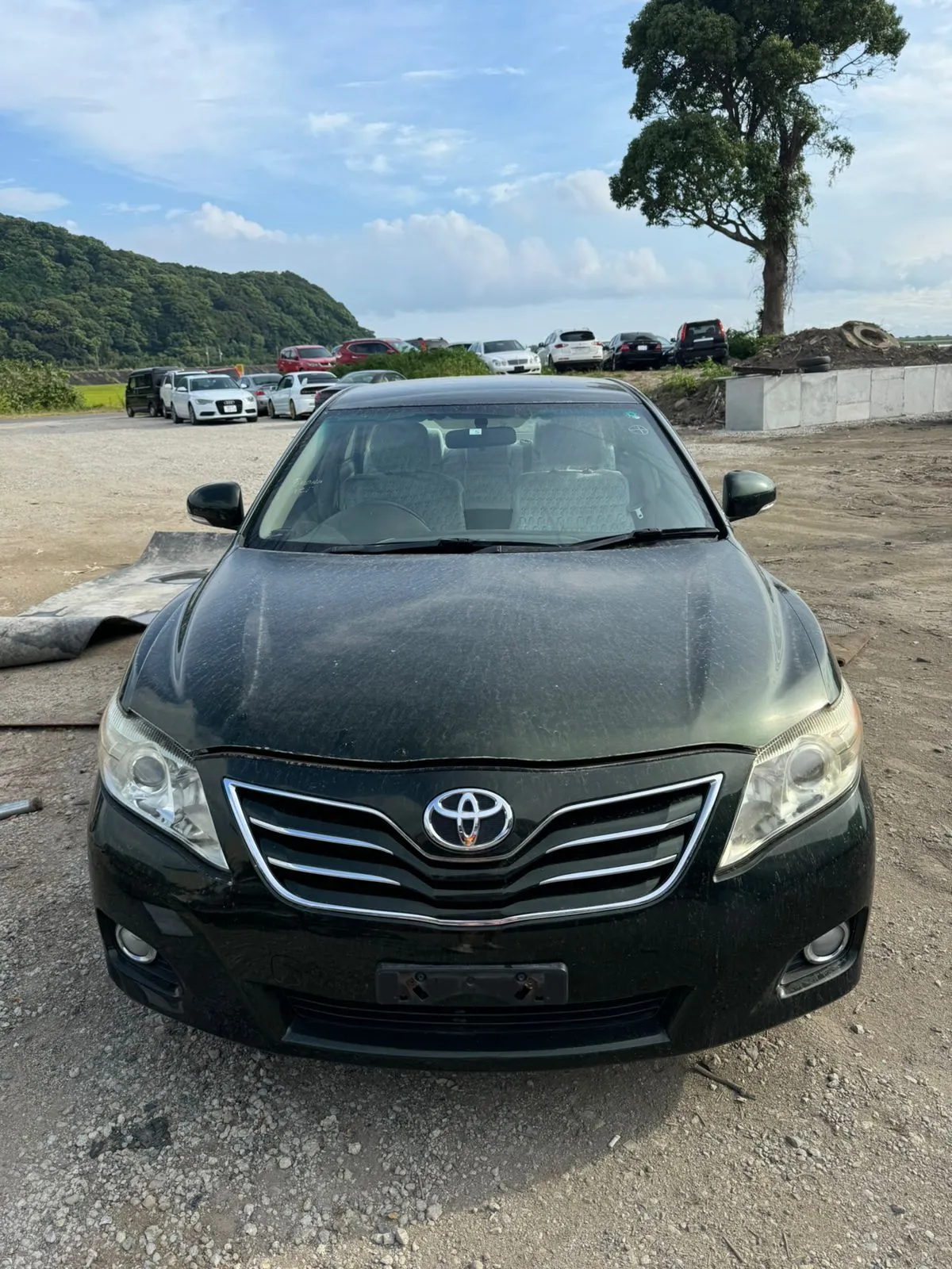 Капот TOYOTA CAMRY ACV40 (Контрактный) 33830007