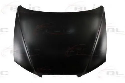 Капот HYUNDAI/KIA 664002D020 (Уценка)