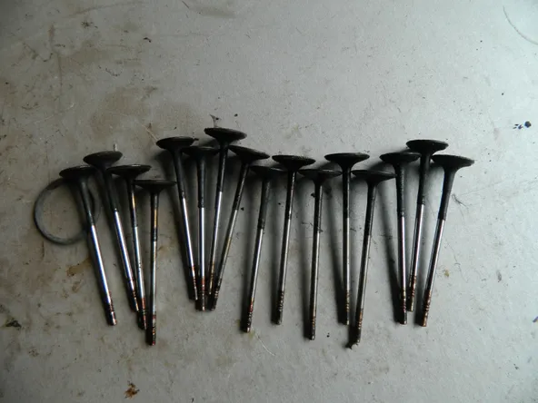 Клапан впускной OPEL ASTRA A16XER (Б/У) 55557862