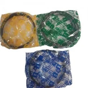 Кольца поршневые RIK 30855025 MAZDA