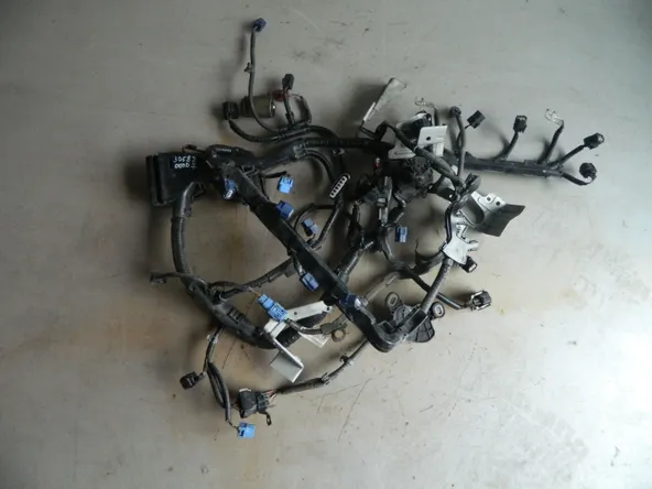 Проводка двигателя HONDA ACCORD CW2 K24A (Контрактный) 3058800007