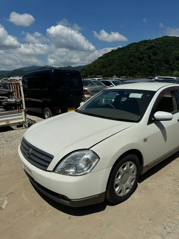 Крыло NISSAN TEANA J31 Перед Лев (Контрактный) 39252010