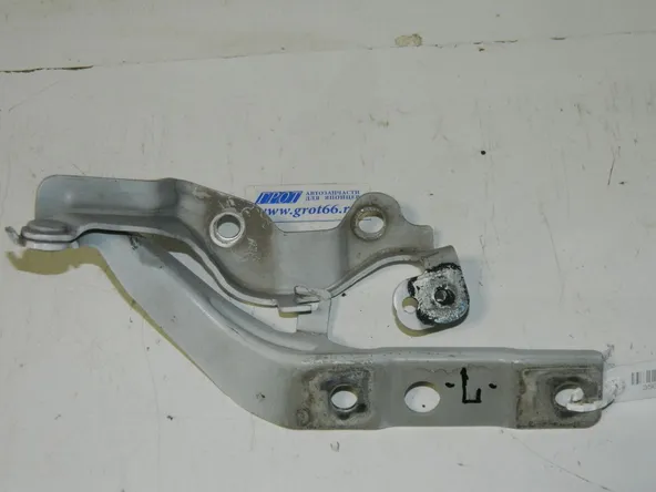 Петля капота HYUNDAI EQUUS G6DA 2013-2015 Лев (Б/У) 35017786