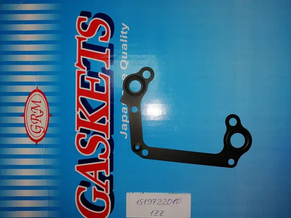 Прокладка GASKETS 1519722010
