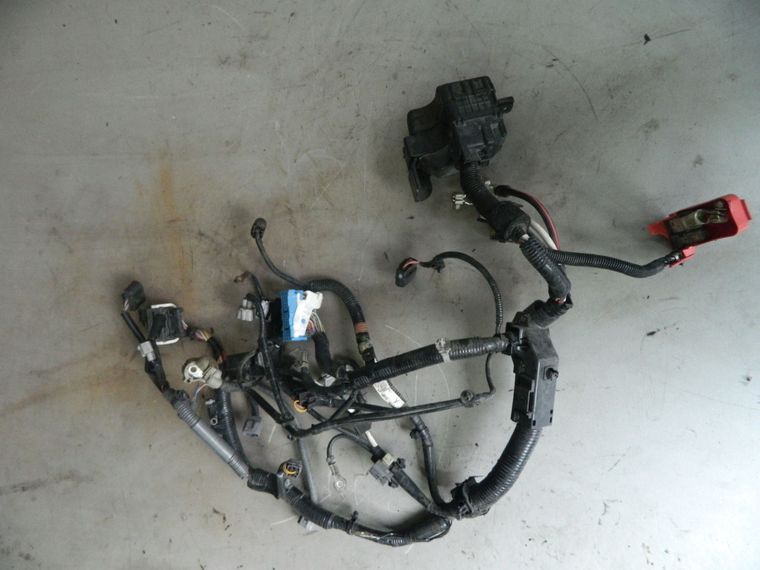 Проводка двигателя MAZDA AXELA BLEFP LF (Контрактный) 2529300037